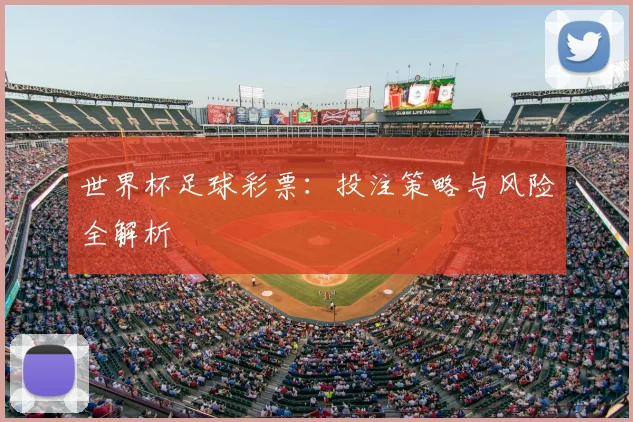 世界杯足球彩票:投注策略与风险全解析