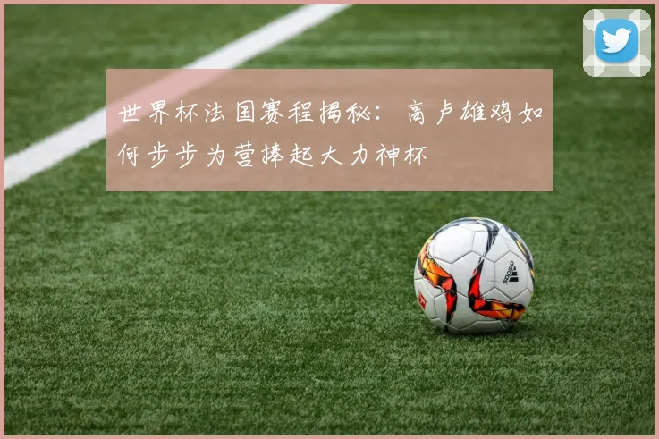 世界杯法国赛程揭秘：高卢雄鸡如何步步为营捧起大力神杯