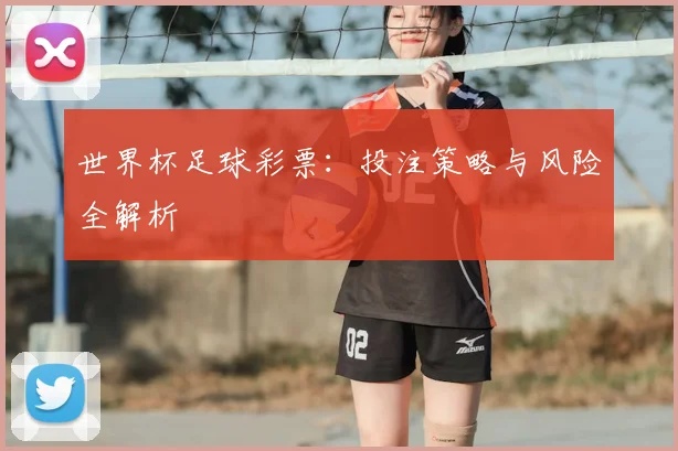 世界杯足球彩票:投注策略与风险全解析