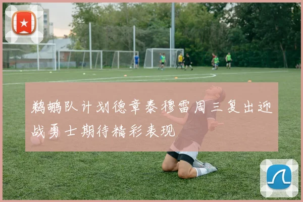 鹈鹕队计划德章泰穆雷周三复出迎战勇士期待精彩表现