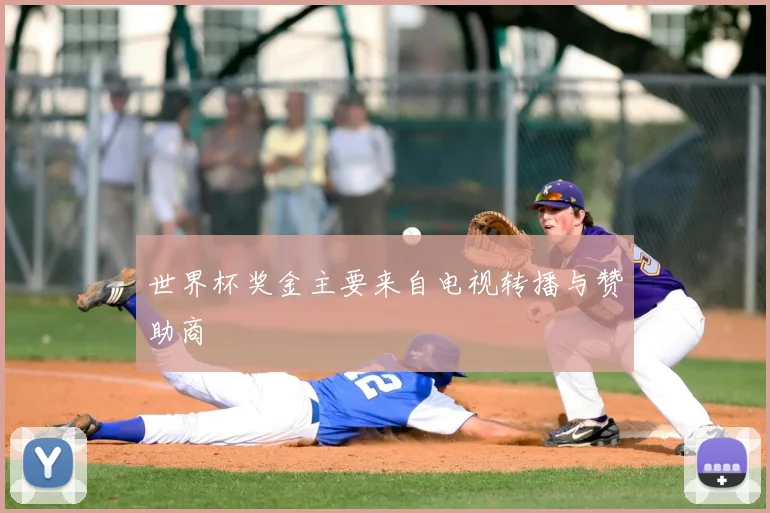 世界杯奖金主要来自电视转播与赞助商