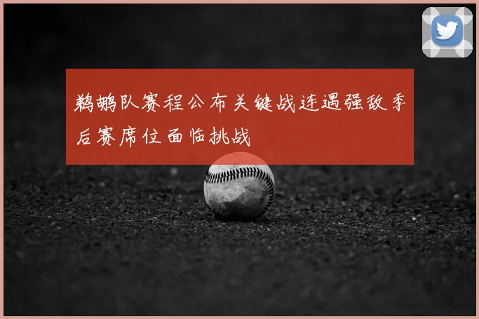 鹈鹕队赛程公布关键战连遇强敌季后赛席位面临挑战