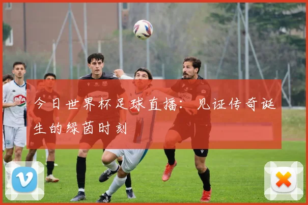 今日世界杯足球直播:见证传奇诞生的绿茵时刻
