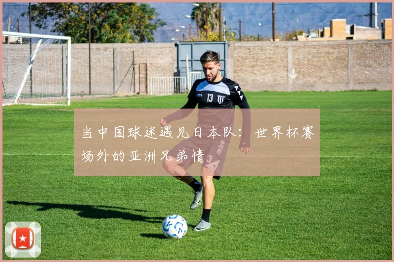 当中国球迷遇见日本队:世界杯赛场外的亚洲兄弟情