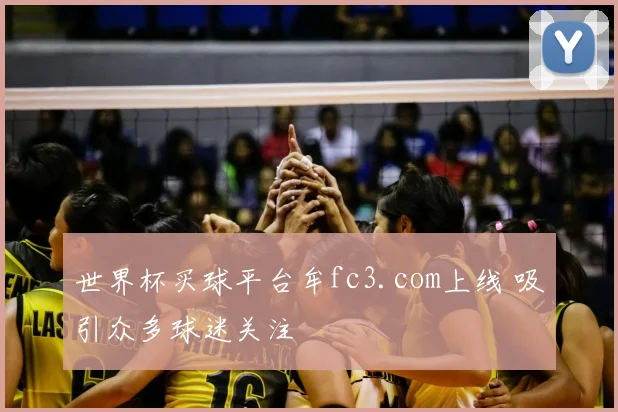 世界杯买球平台牟fc3.com上线 吸引众多球迷关注