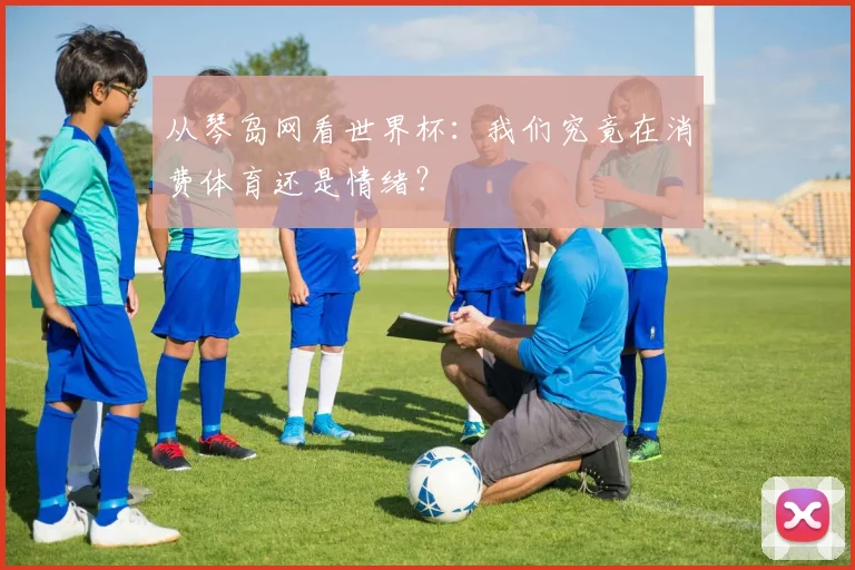从琴岛网看世界杯:我们究竟在消费体育还是情绪?