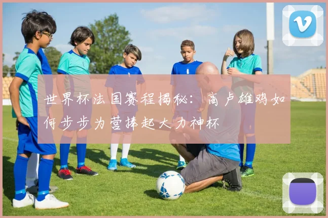 世界杯法国赛程揭秘：高卢雄鸡如何步步为营捧起大力神杯