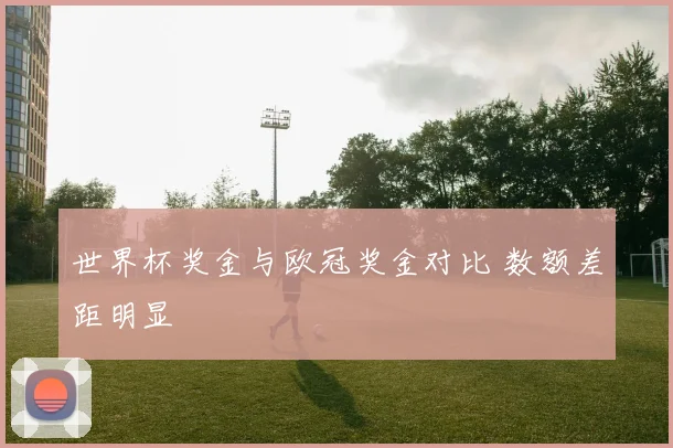 世界杯奖金与欧冠奖金对比 数额差距明显