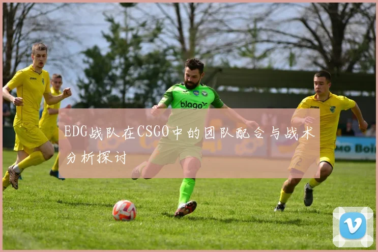 EDG战队在CSGO中的团队配合与战术分析探讨