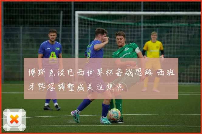 博斯克谈巴西世界杯备战思路 西班牙阵容调整成关注焦点