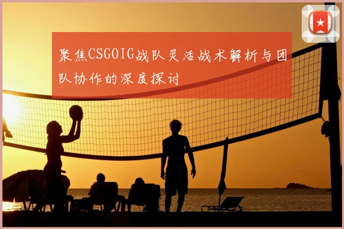 聚焦CSGOIG战队灵活战术解析与团队协作的深度探讨