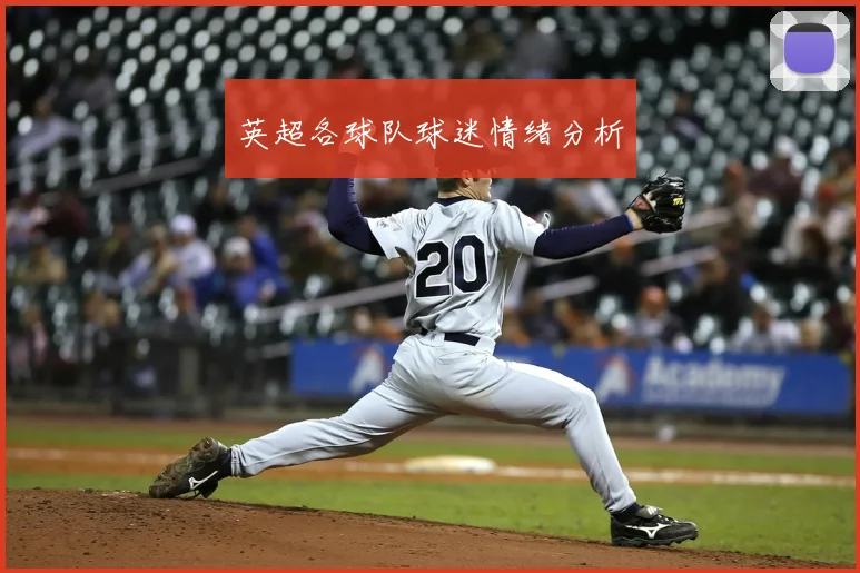 英超各球队球迷情绪分析