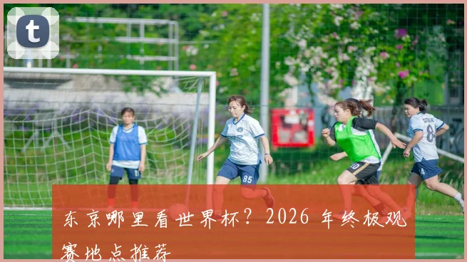 东京哪里看世界杯？2026 年终极观赛地点推荐