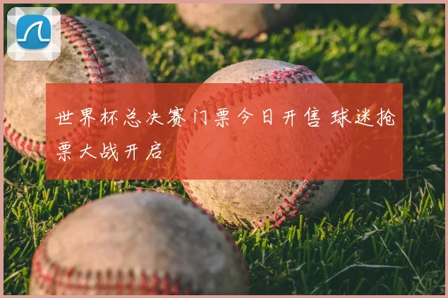 世界杯总决赛门票今日开售 球迷抢票大战开启