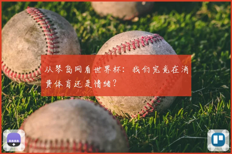 从琴岛网看世界杯：我们究竟在消费体育还是情绪？