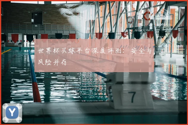 世界杯买球平台深度评测：安全与风险并存